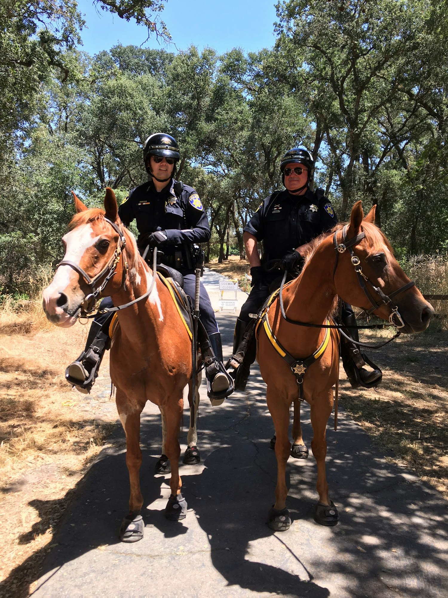 Park Police officers from the Fulton El-Camino Recreation and Park District on horseback.