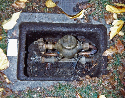 Underground water meter box containing a brass backflow prevention device with visible piping connections, surrounded by soil, grass, and fallen yellow leaves.