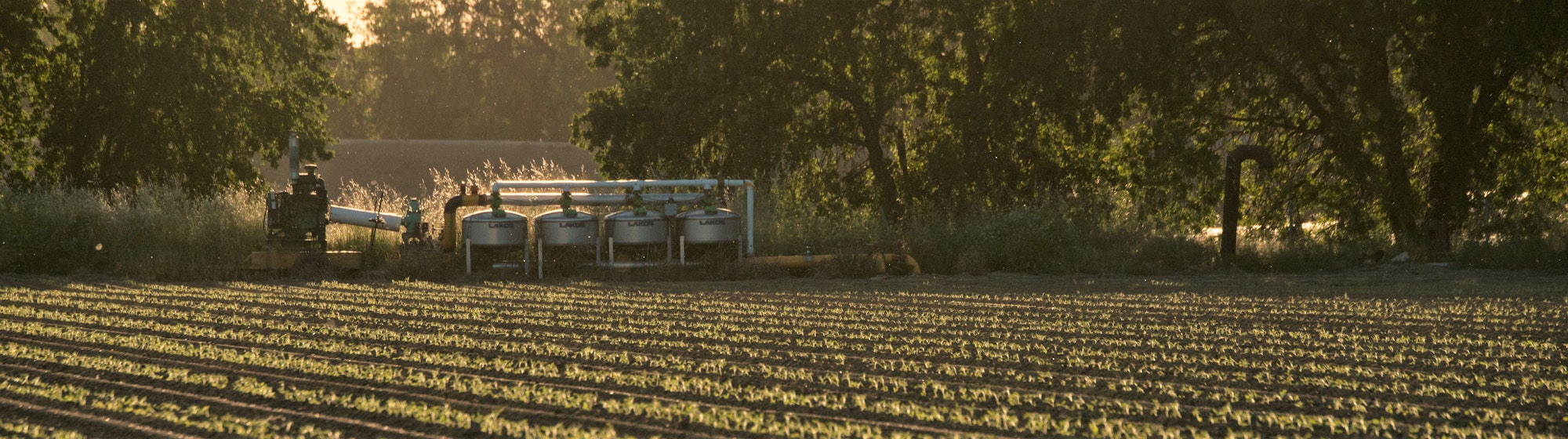 The image shows an agricultural scene with farming machinery, pipes, and a field, illuminated by soft sunlight.