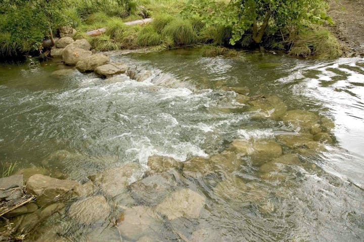 May contain: nature, outdoors, stream, water, creek, rock, plant, and vegetation