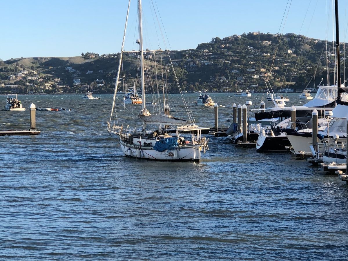 May contain: water, waterfront, boat, sailboat, transportation, vehicle, yacht, pier, and harbor