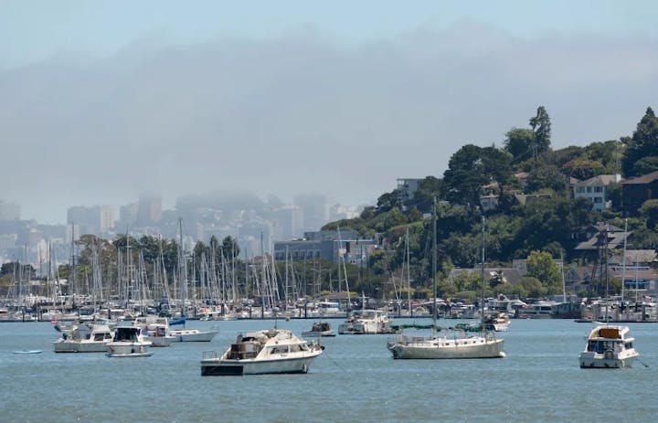 Anchored boats float in Richardson Bay off Sausalito, Calif., on Thursday, July 11, 2019. (Alan Dep/Marin Independent Journal)