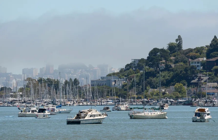Anchored boats float in Richardson Bay off Sausalito, Calif., on Thursday, July 11, 2019. (Alan Dep/Marin Independent Journal)