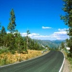 May contain: plant, tree, road, nature, outdoors, scenery, and pine