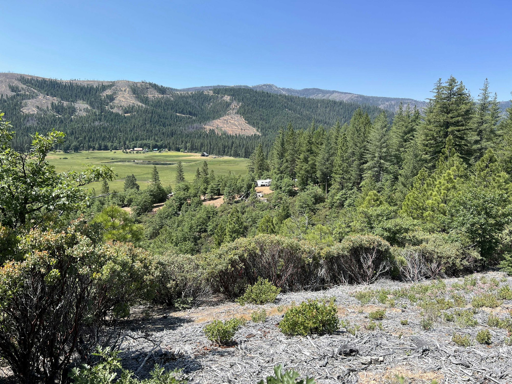 A scenic view of a green valley surrounded by trees and mountains under a clear blue sky.