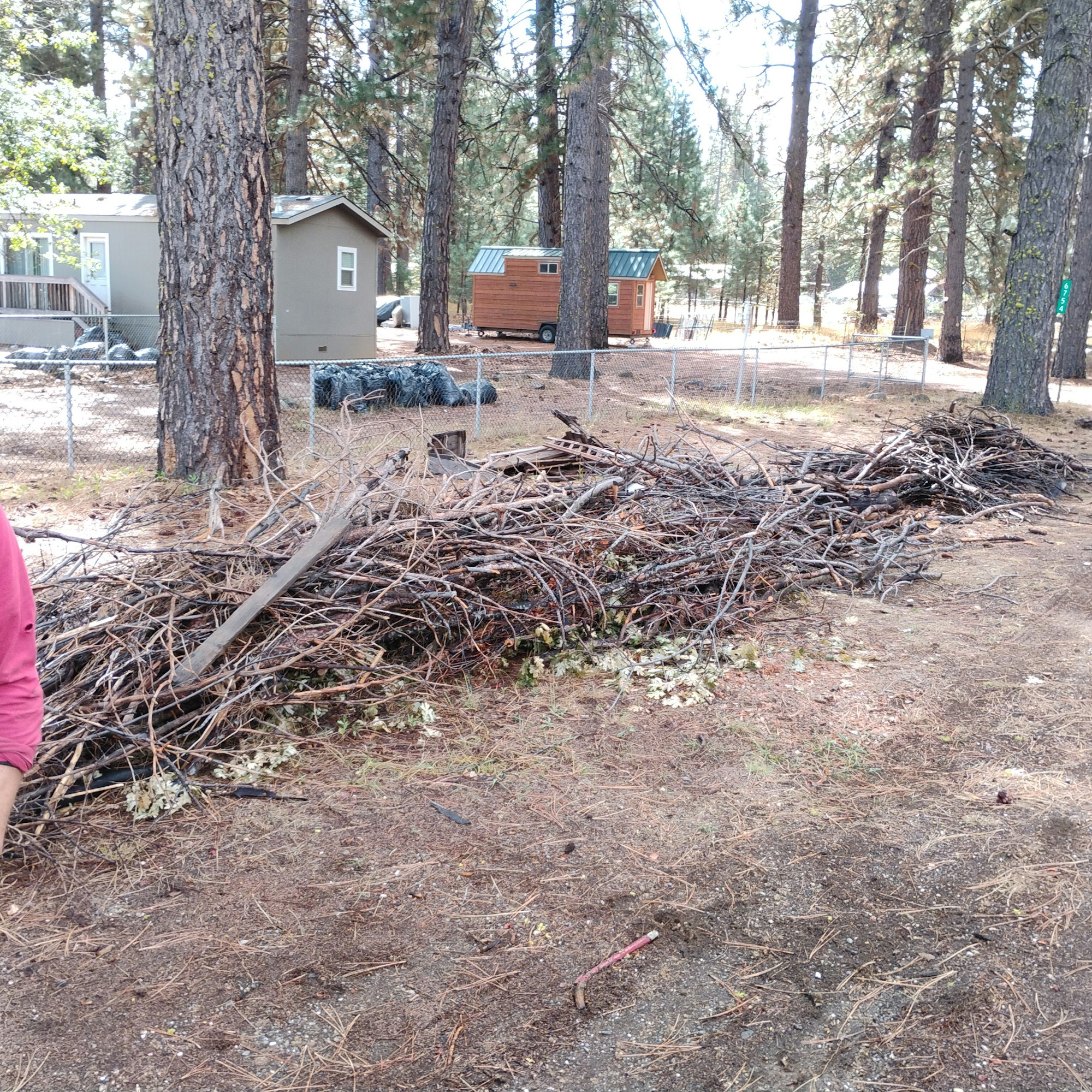 A pile of sticks and branches is stacked on the ground, with a fenced area and small buildings in a forested setting.