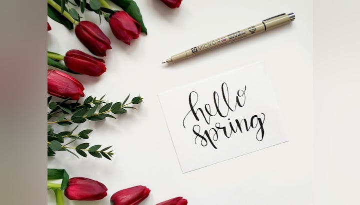 Red tulips, greenery, a pen, and a card with "hello spring" written on it.