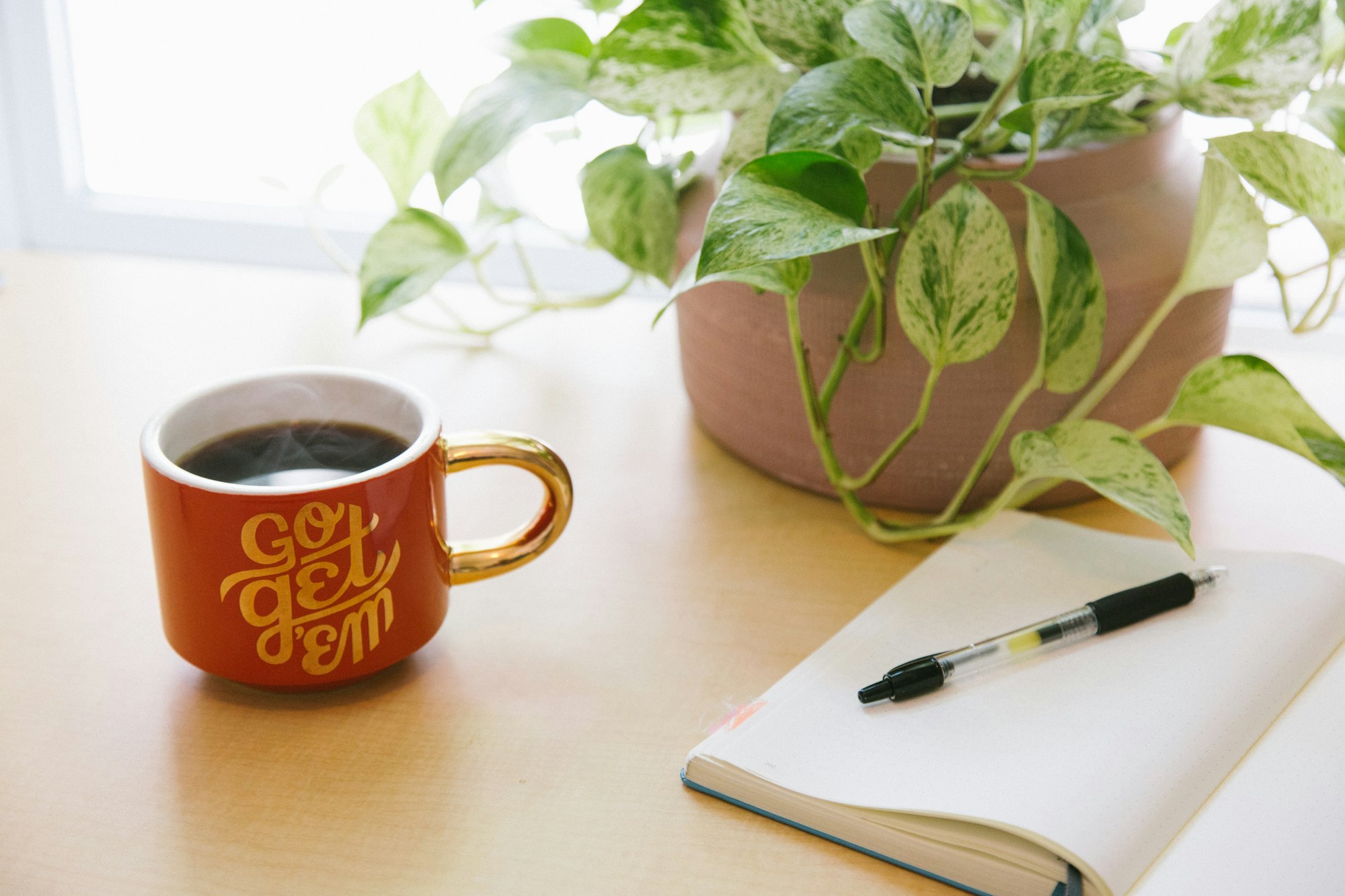 A red cup of coffee with a plant and a book with a pen