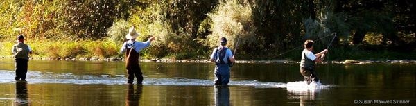 Three people fly fishing in a river, trees in the background, sunny day.