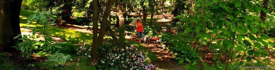 A person walking in a sunlit garden with trees and flowers.