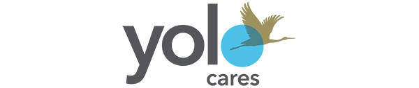 Logo with text "yolo cares" and a stylized bird flying over a blue circle.