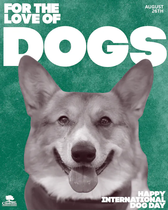 May contain: animal, canine, dog, husky, mammal, pet, snout, advertisement, and poster