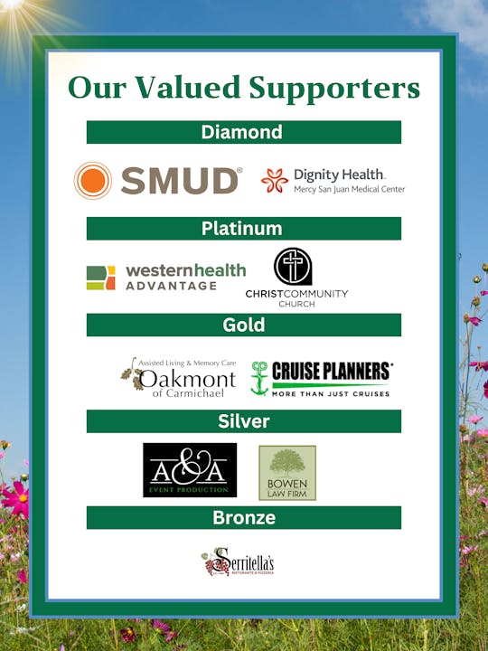 List of valued supporters categorized by sponsorship level: Diamond, Platinum, Gold, Silver, Bronze.