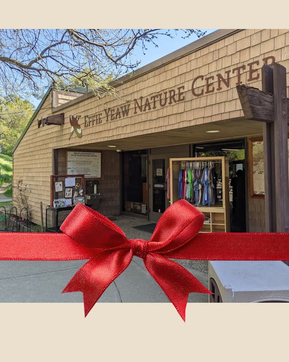 The image shows the entrance to the Effie Yeaw Nature Center, with outdoor displays and a welcoming atmosphere.