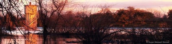 A sailboat on tranquil water at sunset, silhouetted trees in the foreground, colorful sky in the background.