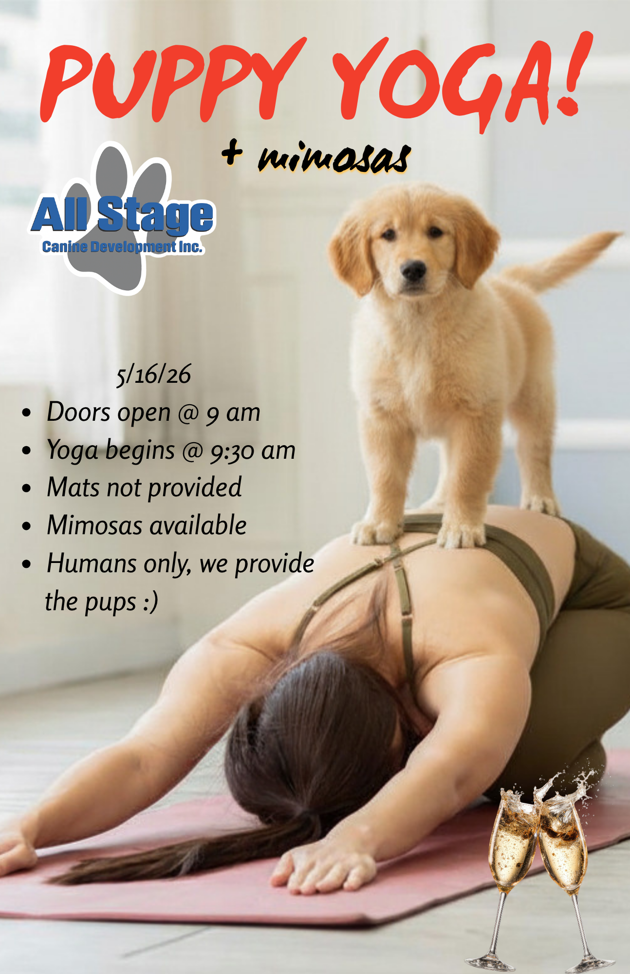 Event for puppy yoga on 5/16/26, 9 AM. Mimosas available; mats not provided. Humans only, pups provided!