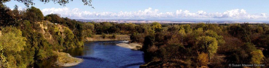 A panoramic view of a river meandering through a forest with a partly cloudy sky overhead.