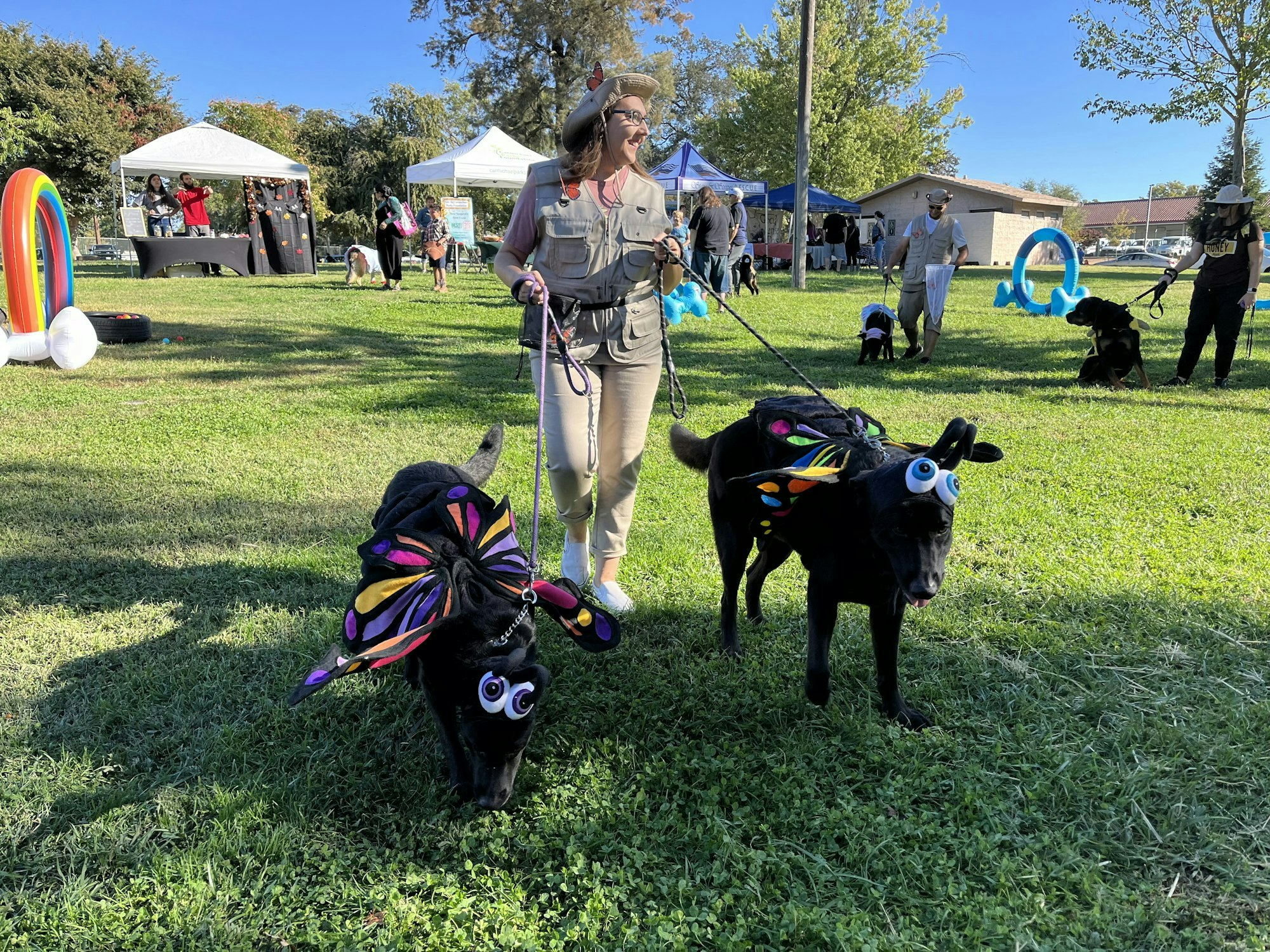 A person walks two dogs in colorful bug costumes at an outdoor event with tents and people in the background.
