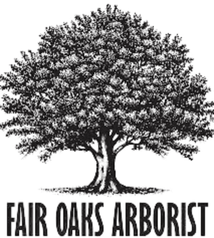 A detailed illustration of a large tree above the text "FAIR OAKS ARBORIST".