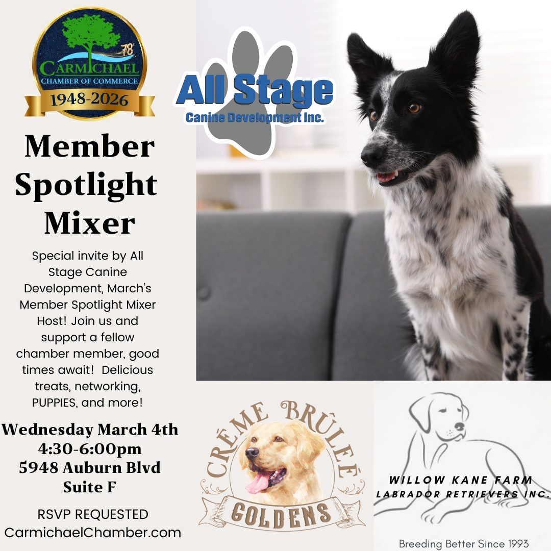 Event flyer for a mixer hosted by All Stage Canine Development on March 4th featuring networking, treats, and puppies.