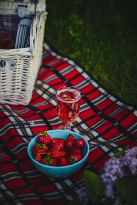 Picnic setup with a glass of pink drink, strawberries in a bowl, and a plaid blanket.