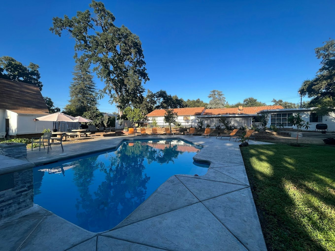 A backyard pool with lounge chairs, a patio with umbrellas, and a house surrounded by trees under a clear blue sky.