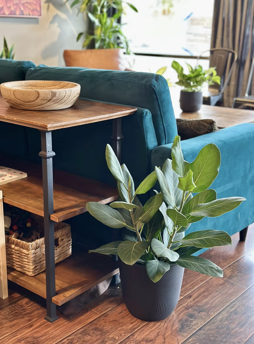 A cozy living room with a teal couch, wooden side table, potted plant, wicker basket, and decorative bowl on wooden flooring.