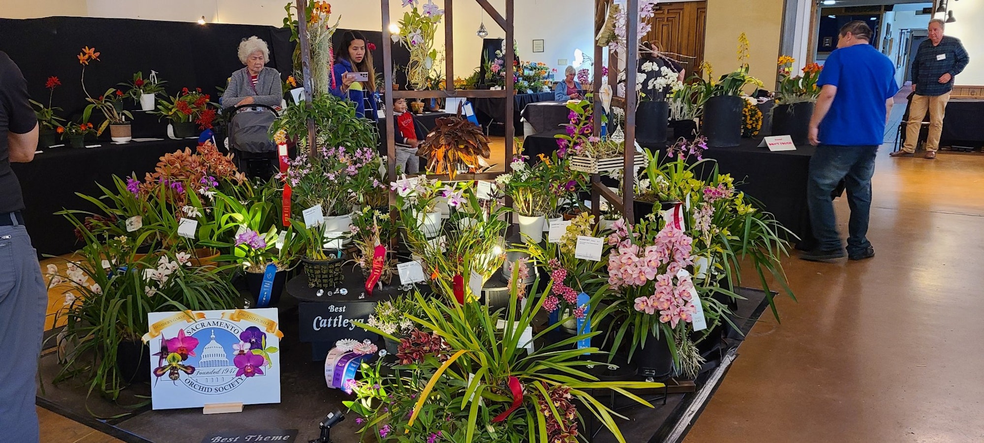 A flower display with various colorful orchids, awards, and people observing at an exhibition setting.