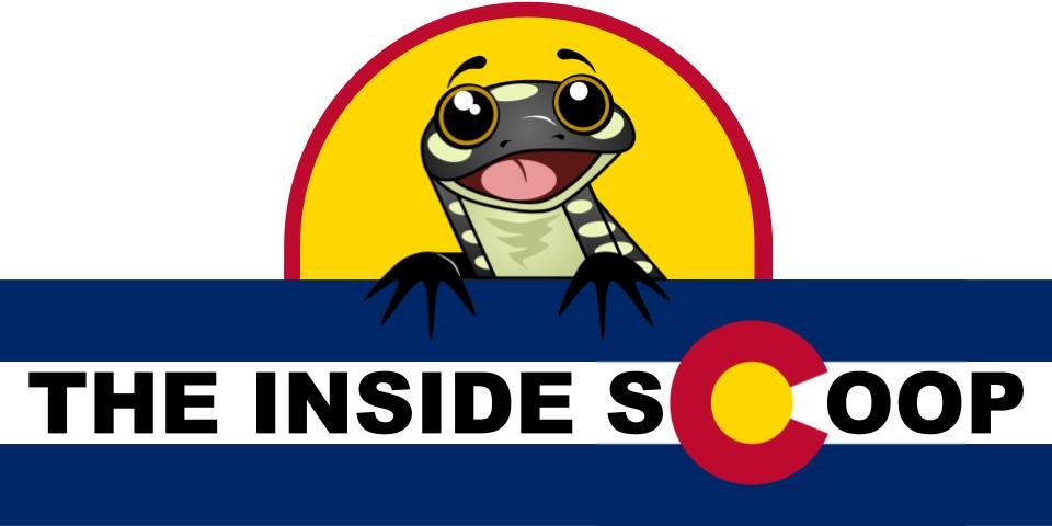 Cartoon lizard peeking over "The Inside Scoop" text with a Colorado-themed "C" logo.