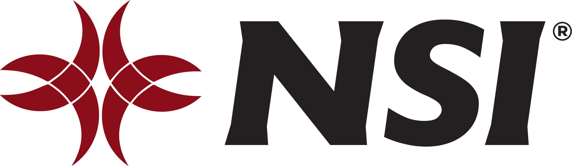Logo with red abstract shape and black "NSI" text.