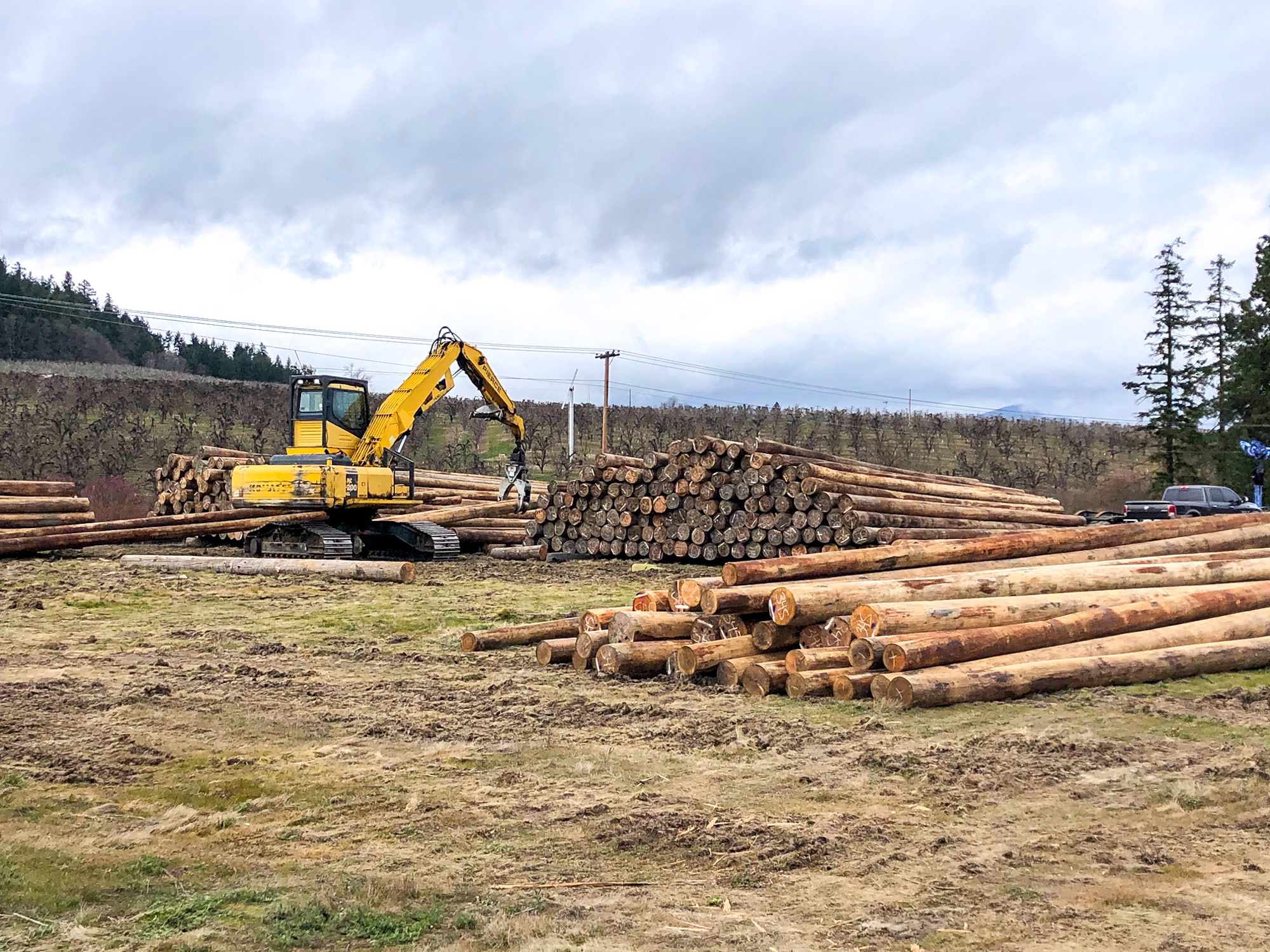 Excavator among stacks of logs in a field with cloudy skies overhead.