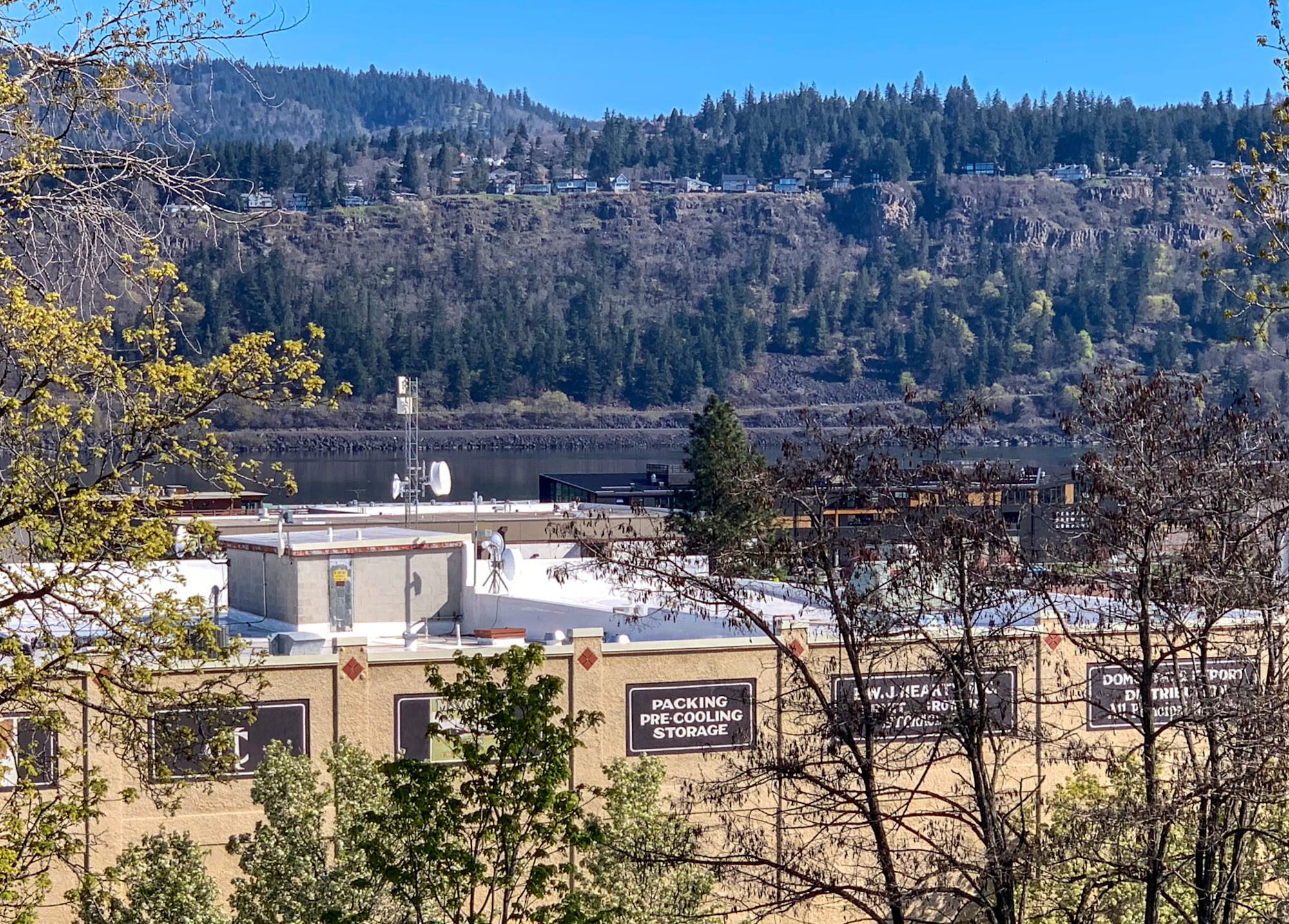 A scenic view with buildings, trees, a river, and a hill in the background.