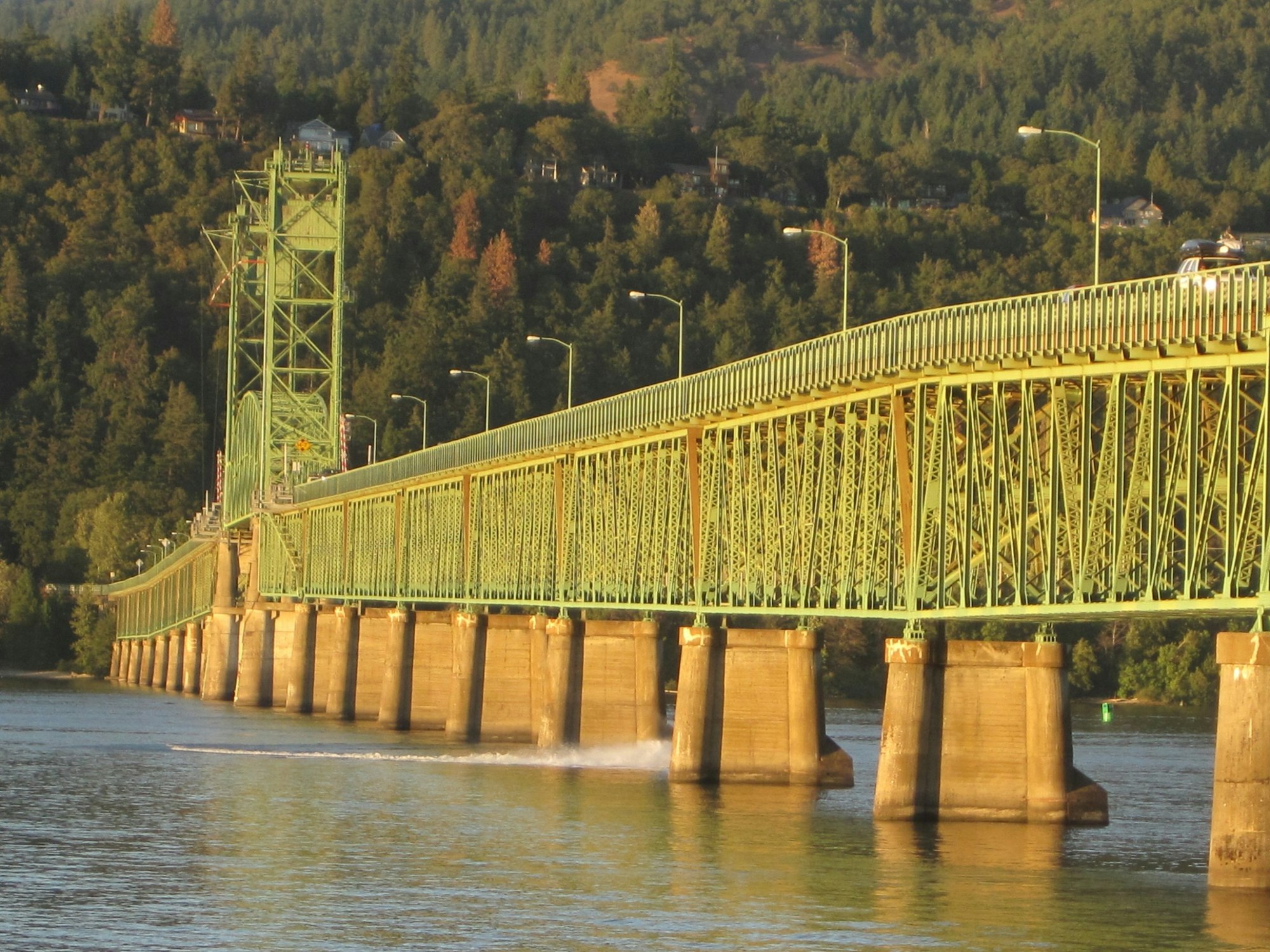 A green suspension bridge spans a river, supported by concrete pillars, surrounded by lush trees and a hilly landscape.