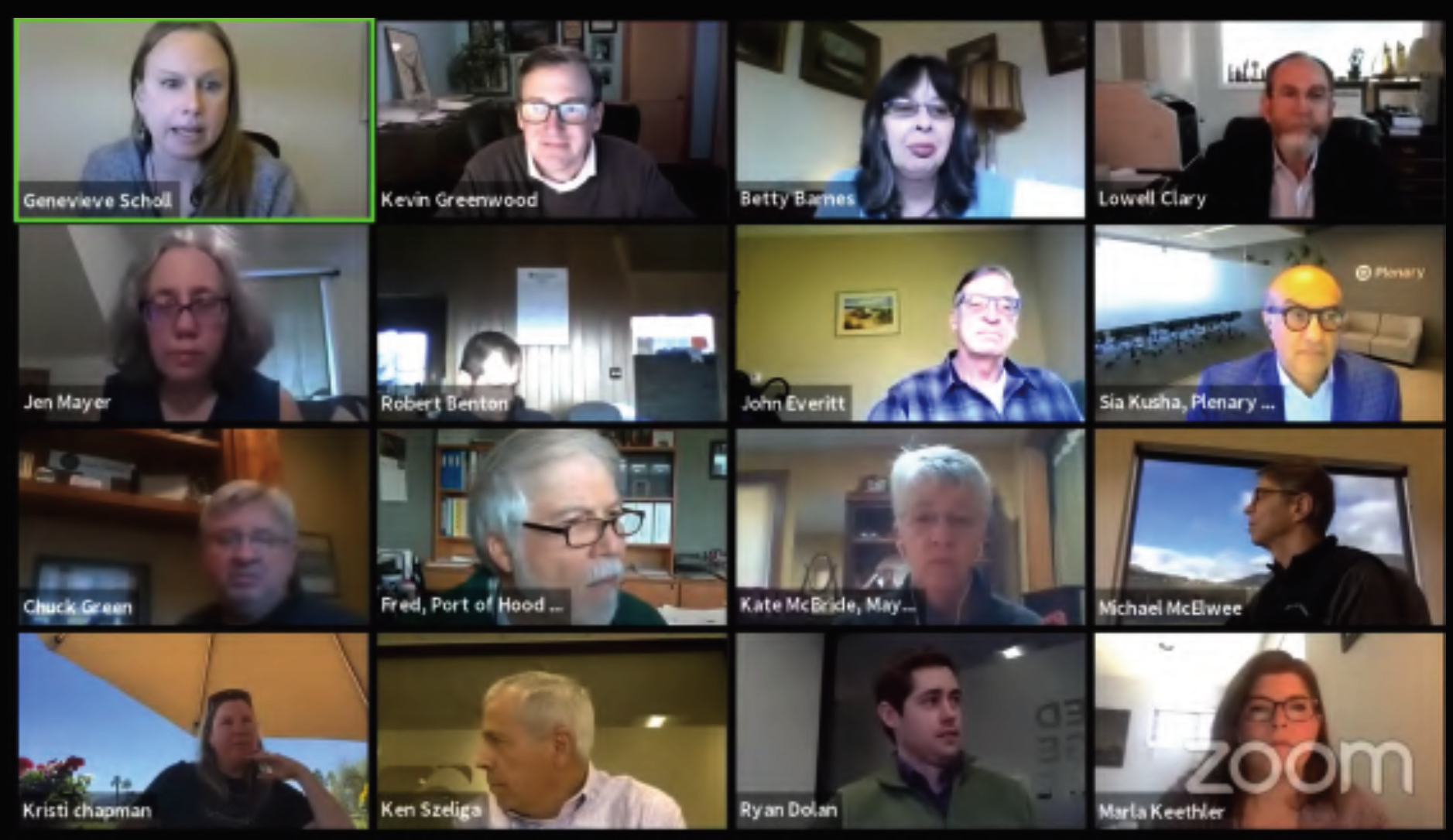 A screenshot of a virtual meeting with multiple participants, each in their own video box with names displayed.