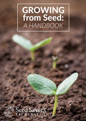 A book cover titled "GROWING from Seed: A HANDBOOK" by Seed Savers Exchange, featuring young plant seedlings in soil.