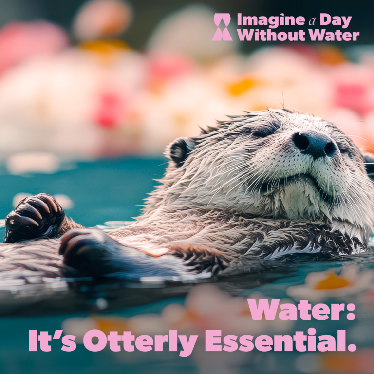 A cute otter floating on water with the text "Water: It's Otterly Essential," promoting water awareness.