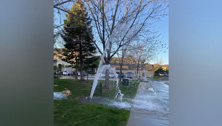 A broken sprinkler with water flowing out