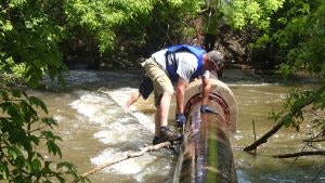 A person balances on a large pipe over flowing water, working in a natural setting surrounded by greenery.