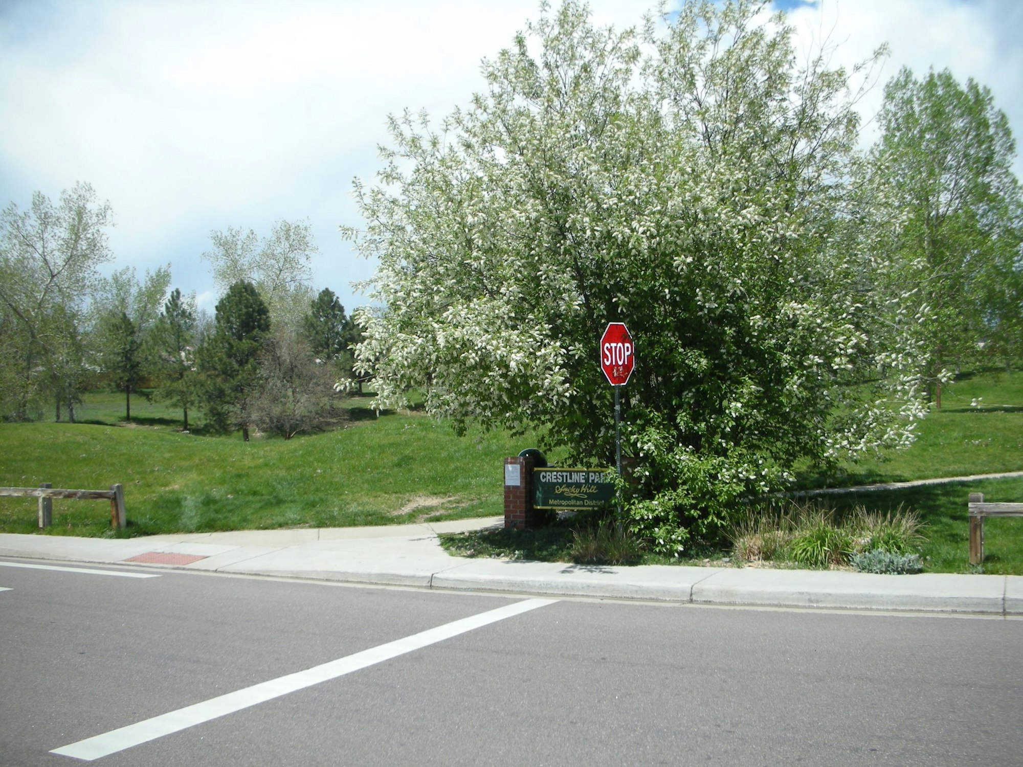 A blossoming tree by a stop sign near a park entrance with a clear sky in the background.