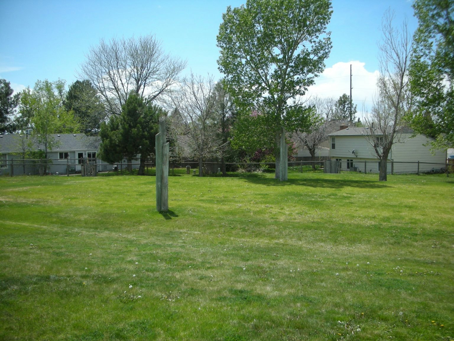 A grassy field with trees, a wooden post, and suburban houses in the background.