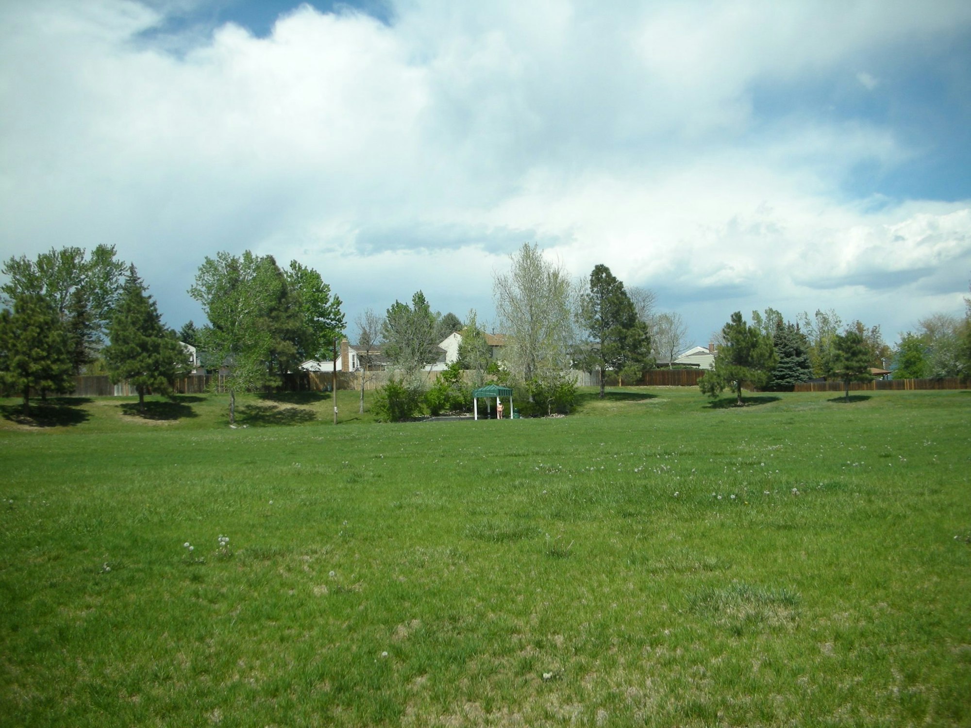 A grassy field with trees under a cloudy blue sky, with houses in the background.
