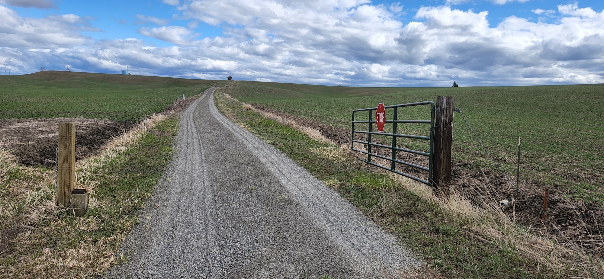 May contain: road, gravel, tarmac, outdoors, nature, sky, horizon, grassland, and field