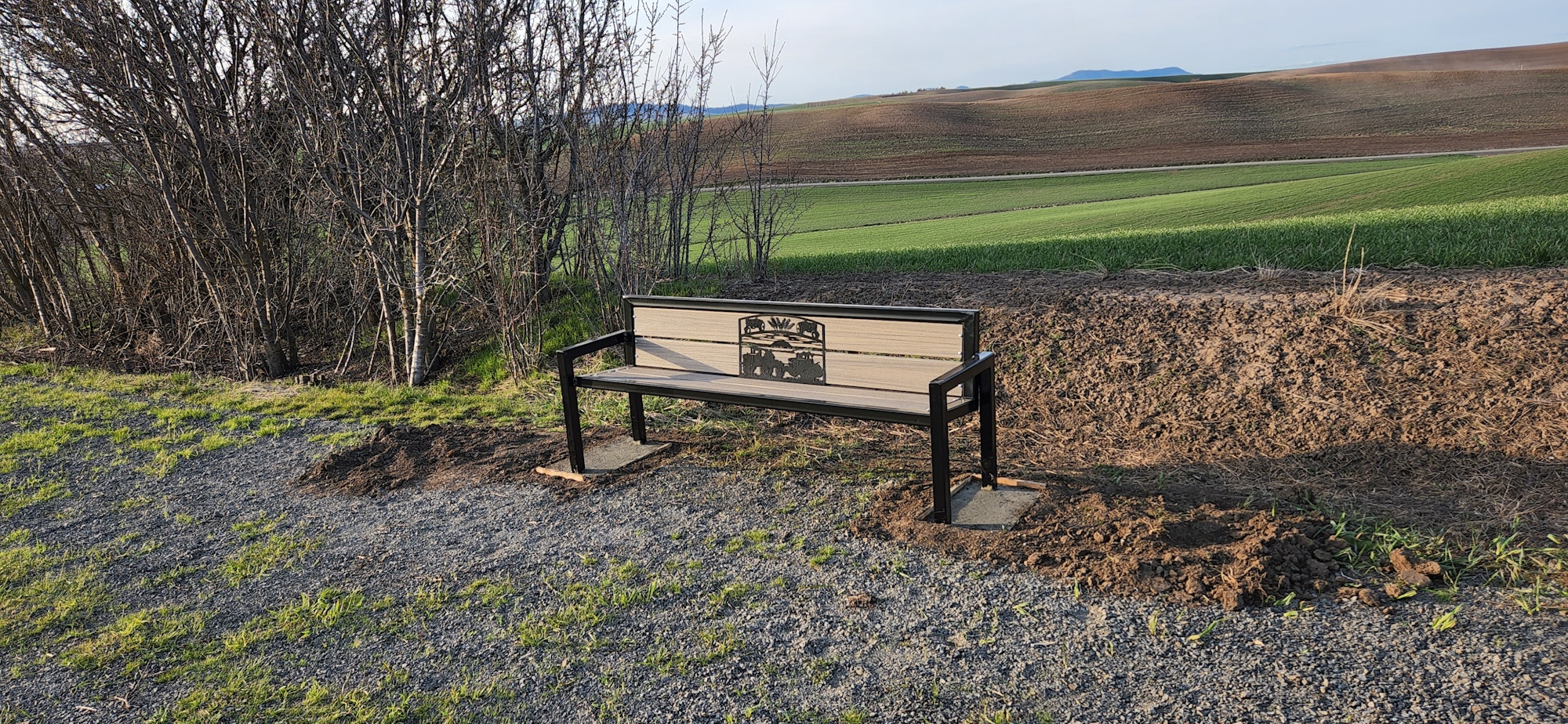 May contain: bench, furniture, soil, grass, and plant
