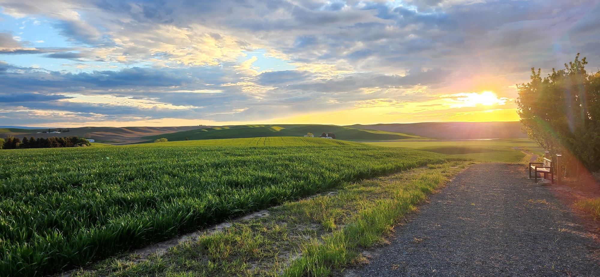 May contain: sky, outdoors, nature, scenery, landscape, grass, plant, path, horizon, road, summer, grassland, field, sunlight, bench, and furniture