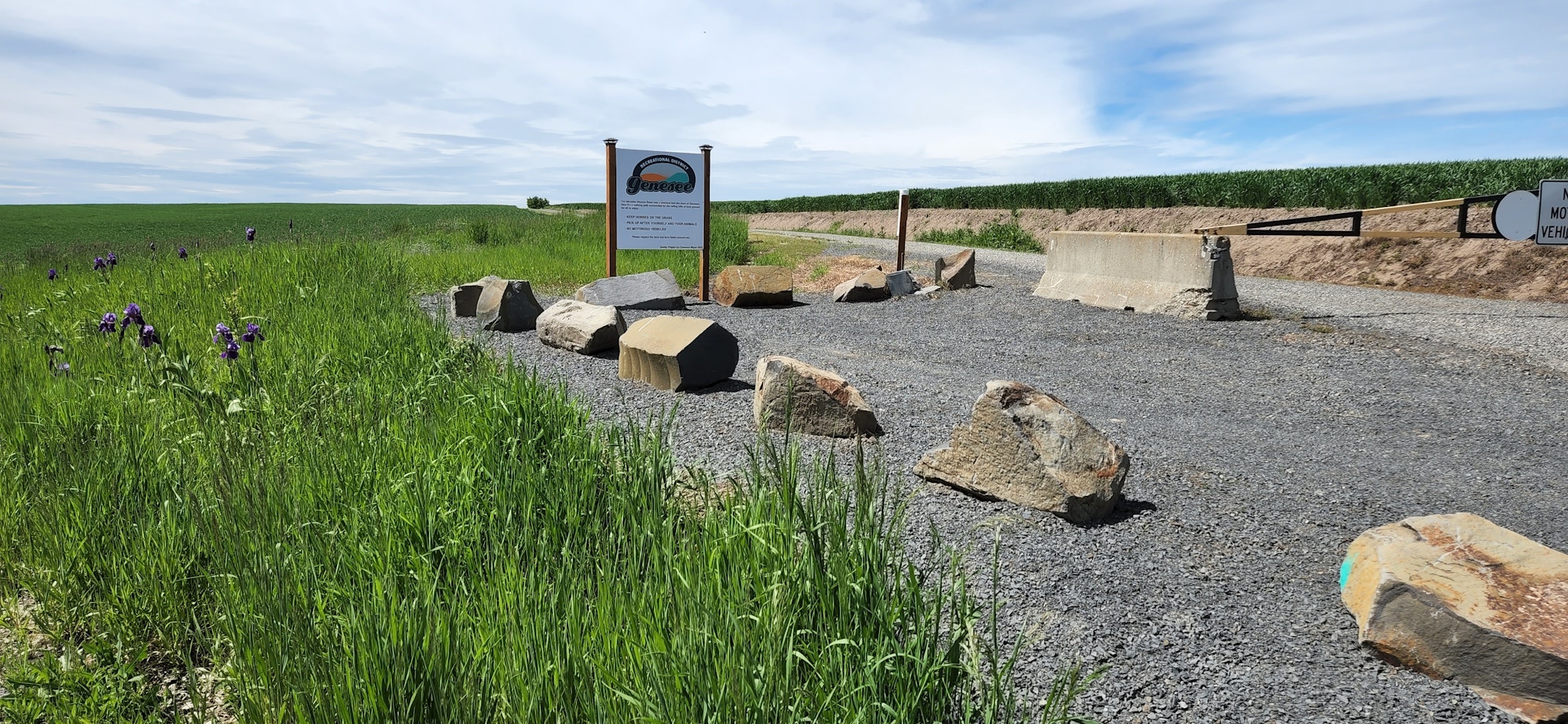 May contain: gravel, road, grass, plant, rock, person, scenery, outdoors, and nature