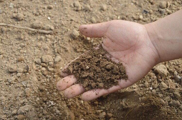May contain: soil, nature, outdoors, and person