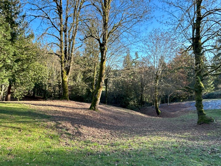 A park with trees, green grass, and fallen leaves under a clear blue sky.