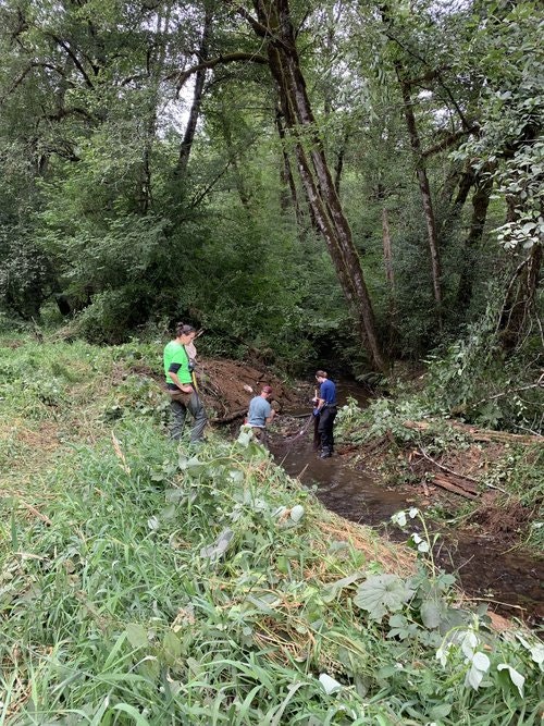 May contain: plant, vegetation, path, adventure, hiking, leisure activities, nature, outdoors, person, land, tree, woodland, wilderness, walking, trail, jungle, grove, rainforest, slope, and soil