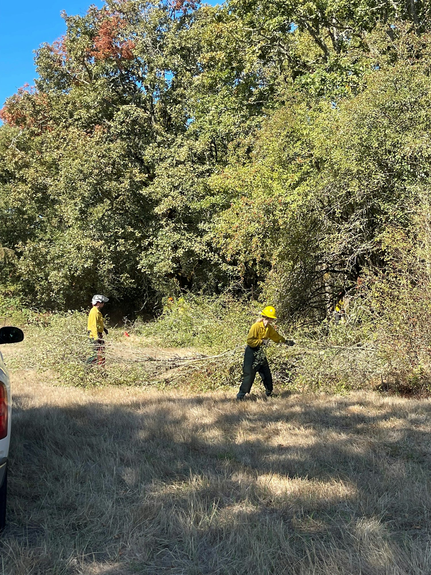 Two people in yellow uniforms and helmets clearing brush in a grassy area with trees in the background.