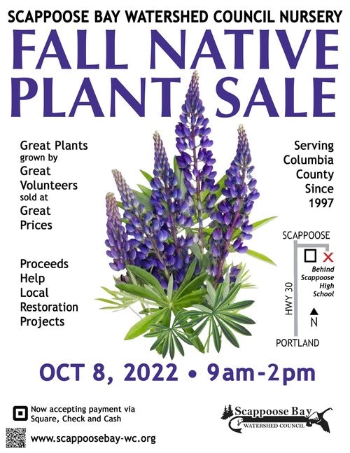 May contain: flower, lupin, plant, and lavender